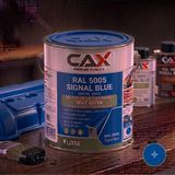 CAXCOLORS Isıya ve Sıvıya Dayanıklı Koruyucu Boya - 1 Litre - Yüksek Performanslı Yüzey Kaplama - 5005