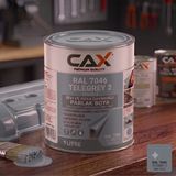 CAXCOLORS Isıya ve Sıvıya Dayanıklı Koruyucu Boya - 1 Litre - Yüksek Performanslı Yüzey Kaplama - 7046
