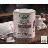 CAXCOLORS Isıya ve Sıvıya Dayanıklı Koruyucu Boya - 1 Litre - Yüksek Performanslı Yüzey Kaplama - 9003