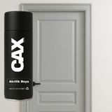 CAXCOLORS Lake & Ahşap Kapı Boyası Özel Yapım Akrilik Sprey Boya 400 ml - METALİK GÜMÜŞ