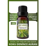 Çay Ağacı Esansiyel Uçucu Koku Yağı Buhurdanlık Yağı Difüzör Esansı Hobi Esans Ortam Oda Kokusu 10ml