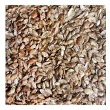 Cay-Cay Mini (Brown) Kiloluk Deniz Kabuğu (1 KG)