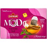 Çaykur Formda Kal Bitki Çayı 20 Süzen Poşet 40 G Isırgan Mate Yeşil Çay - 40 gr