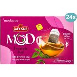 Çaykur Formda Kal Bitki Çayı 20 Süzen Poşet 40 G Isırgan Mate Yeşil Çay x 24 Adet