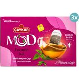 Çaykur Formda Kal Bitki Çayı 20 Süzen Poşet 40 G Isırgan Mate Yeşil Çay x 3 Adet - 40 gr