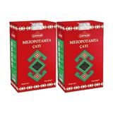 Çaykur Mezopotamya Çayı 400 gr x 2