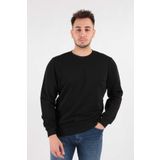Cazador 24KCEEO05610 Ekru Erkek 3 İplik Sweatshirt