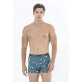 Cazador Erkek Desenli Boxer 9303 Renkli
