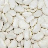 CBM Bombay En Iri Fasulye 25 Kilo - 25 kg