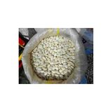 CBM Bombay Iri Fasulye 1 Ton - 1000 Adet