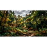 C&C Dream Artworks Factory Windswept Forest Sanat Eseri, 60x90 cm, Poster, Çerçeveli