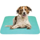 CDE 2'li Ekonomik Paket 5 Katlı Kapitoneli, Yıkanabilir, Sıvı Geçirmez Köpek Çiş Pedi 75 x 90 cm - Mavi