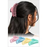 C&E Design Kadın 4’lü Pastel Renkli Trend Büyük Xl Mandal Toka Seti