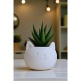 ceatly Kedi Figürlü Plastik Mini Saksı ve Aloe Sukulent Dekoru – Sevimli Masa Üstü Aksesuar