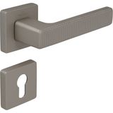 Çebi Kapı Kolu Zıpp C5219 MP04 Çizgili Root Yale Kapı Kolu - Saten Sarı