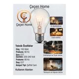 ÇEÇEN HOME (1 Adet) 100W 220-240V E27 Şeffaf Isıtıcı Ampul - Ev Aydınlatma, Kümes Civciv Isıtma ve Teraryum Lambası, Yüksek Performanslı Dayanıklı Cam Flamanlı Ampul