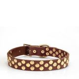 CecePet Aten Handmade Deri Köpek Tasması Açık Kahve M (36-45CM) Cl-At-T-M