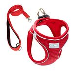 Cecepet Cool Walk Air Mesh Kırmızı Köpek Göğüs Tasması Small