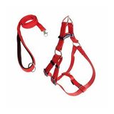 CecePet Cool Walk Harness Kırmızı Köpek Göğüs Tasması