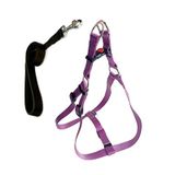 Cecepet Cool Walk Harness Mor Köpek Göğüs Tasması Xs
