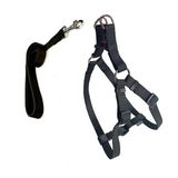 Cecepet Cool Walk Harness Siyah Köpek Göğüs Tasması Xs