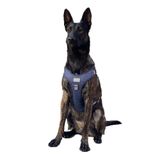 Cecepet Cool Walk Premium Köpek Göğüs Tasması M