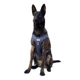 Cecepet Cool Walk Premium Köpek Göğüs Tasması S