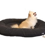 CecePet Leo Serisi Small 80x60 cm Kedi ve Köpek Yatağı
