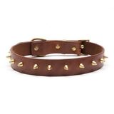 CecePet Thor Handmade Deri Köpek Tasması Açık Kahve M (36-45CM) Cl-Th-T-M