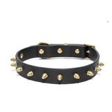 CecePet Thor Handmade Deri Köpek Tasması Siyah M (36-45CM) Cl-Th-Bl-M