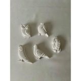 CEG Art Gallery Taş Boyama Seti - 5'li Kuş Seti - 1 Adet Fırça + 3 Renk Boya
