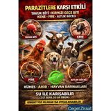 Cegel Ziraat Tavuk Biti-Kırmızı Gece Biti-Kene-Altlık Böceği-Akar İlacı 500GR Toz