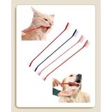 Cekar Store Köpekler ve Kediler Için Yumuşak Diş Fırçası 4lü Paket