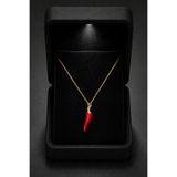 ÇEKİRDEK JEWELRY Işıklı Hediye Kutulu 925 Ayar Gümüş Kırmızı Biber Kolye Mine Kaplama, Şans ve Nazar Temalı