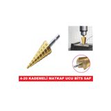 CEKSAN Kademeli Matkap Ucu 4-20mm Bits Saplı Hss -kozalak Uç