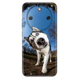 Cekuonline Honor Magic 8 Lite ile Uyumlu Kılıf, Şaşkın Husky Temalı Desenli, Darbe Emici Silikon