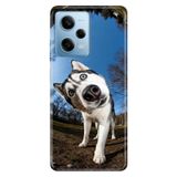 Cekuonline Xiaomi Redmi Note 12 Pro 5G ile Uyumlu Şaşkın Husky Temalı Desenli Darbe Emici Silikon Kılıf