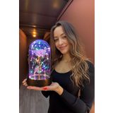 Celestia Anneler Gününe Özel Galaxy Rose Yapay Gül Fanus Lamba Usb'li Yapay Çiçek Hediyelik