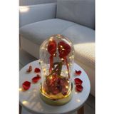 Celestia Sevgiliye Hediye Özel Kalpli Baş Harfli Fanus Lamba Usb Yapay Çiçek Dekoratif Hediyelik