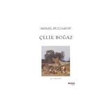 Çelik Boğaz (Braılle) + 20 Yaşıma Mektup + 1 Kitap - Hayır