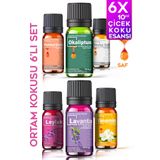 Cem Cosmetics Efsane Çiçek Özleri Oda Kokusu %100 Saf & Doğal Koku 6lı Set 6x10ml Esansiyel Uçucu Yağ Buhardanlık