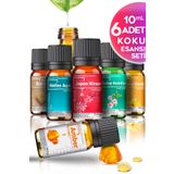 Cem Cosmetics Renkli Set Uçucu Yağ & Esansiyel Yağ 6'lı Oda Kokusu Buhardanlık Ve Difüzör Koku Seti 6x10ml