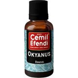 Cemil Efendi Okyanus Esansı 10 ml Tütsü ve Buhurdanlık Difüzör Uçucu Oda Koku Yağı Parfüm Esansı