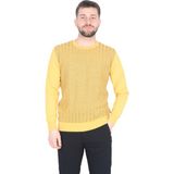 Cengiz Inler Bisiklet Yaka Çizgi Desen Yünlü Erkek Triko Kazak - Sarı - 2XL