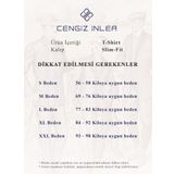 Cengiz İnler Desenli Merserize Polo Yaka Erkek Triko T-shirt GRİ XL
