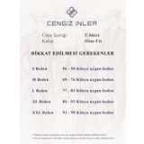 Cengiz İnler Yarım Fermuarlı Merserize Erkek Triko T-shirt