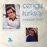 Cengiz Türksoy - Maksadın Nedir? - Yerli 33'lük Plaklar