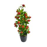 Cennet Home Nar Ağacı Küçük boy dekoratif mutfak süsü siyah parlak plastik saksıda yapay çiçek 48 cm