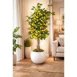 Cennet Home Premium Akdeniz Yapay Limon Ağacı 110 cm – Yoğun Yapraklı Dekoratif Yapay Ağaç