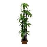 Cennet Home Yukka Dracenea palmiye 195 cm 90 yaprak Büyük Boy Ev ve Ofis için yapay ağaç